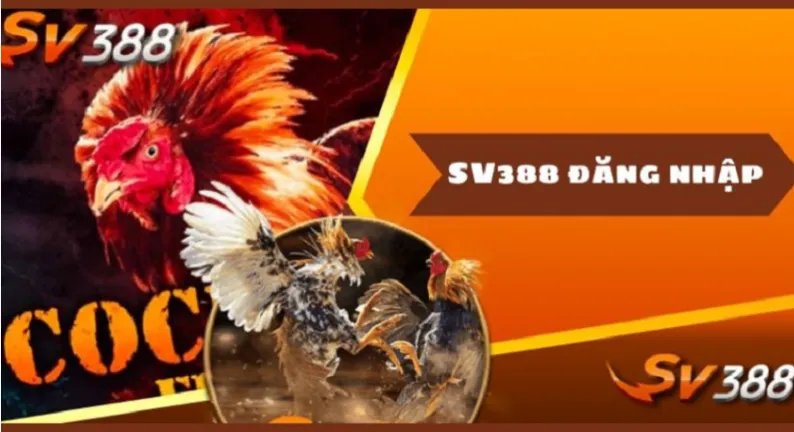 Đăng nhập SV388 hướng dẫn chi tiết cho người mới