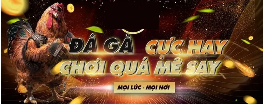 Khuyến mãi SV388 Sân chơi đá gà trực tuyến hàng đầu châu Á