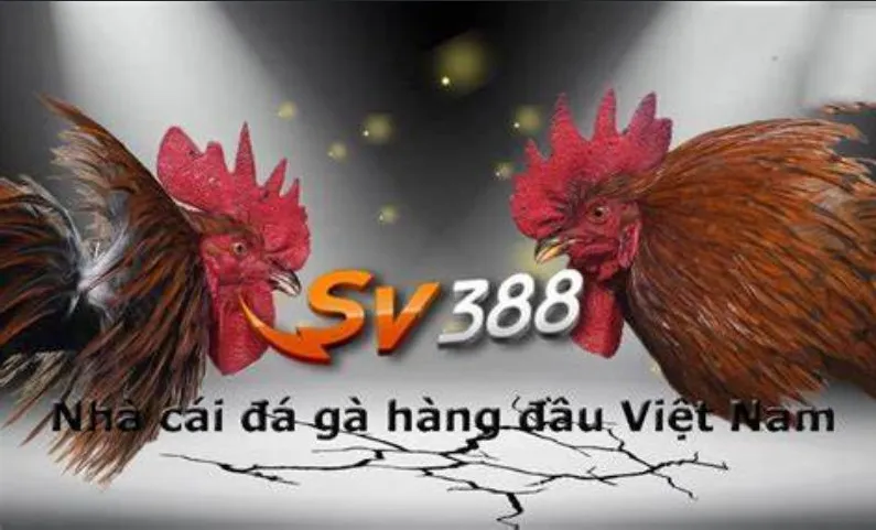 Giấy Phép Hoạt Động SV388 Cơ Sở Pháp Lý Cho Uy Tín Và Chất Lượng