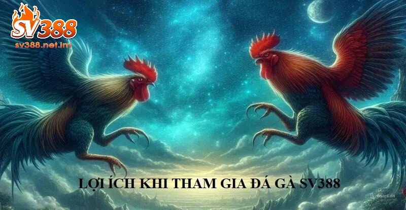 Lợi Ích Khi Chọn SV388 Để Tham Gia Đá Gà