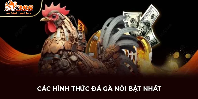 Những Loại Cược Phổ Biến Trong Đá Gà SV388