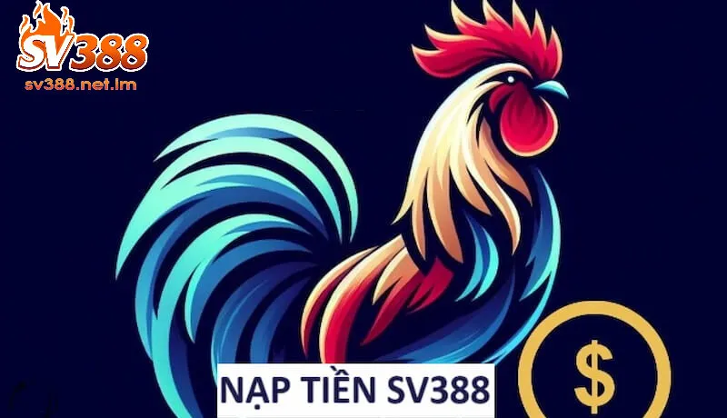 Nạp Tiền đá gà SV388 - Hướng Dẫn Chi Tiết Nhanh Chóng, An Toàn
