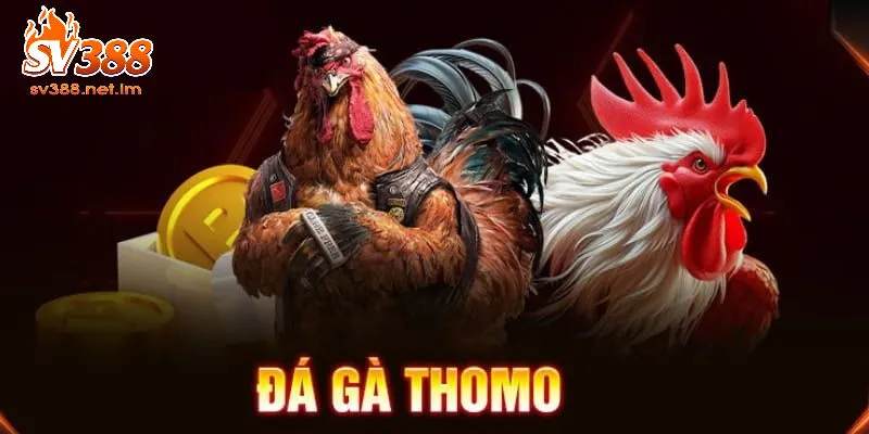 Tổng Quan Về SV388 Đá Gà Thomo