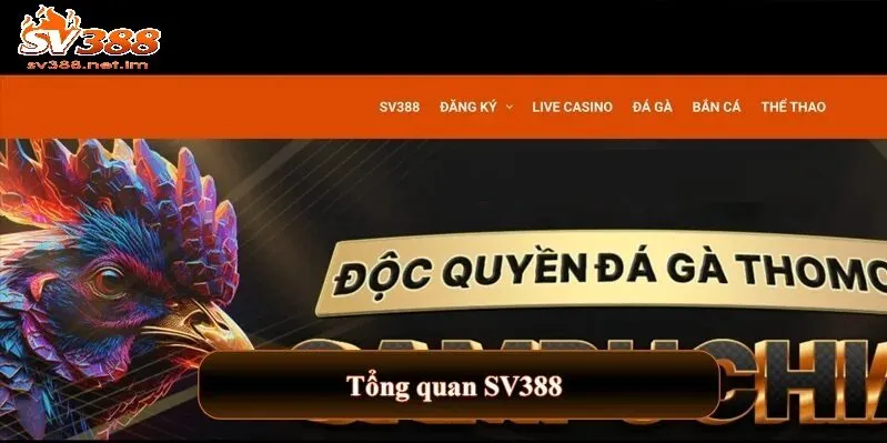 Vì Sao Bạn Nên Đăng Ký Tài Khoản SV388?