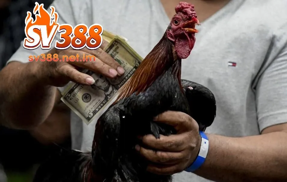 Cược thả ga trên app SV388 trên nền tảng di động