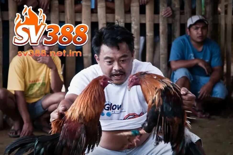 Kiến thức đá gà chuyên nghiệp từ chuyên gia